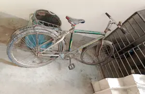 Used Bicycle