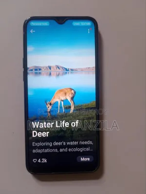 Oppo A1k 32 GB Black
