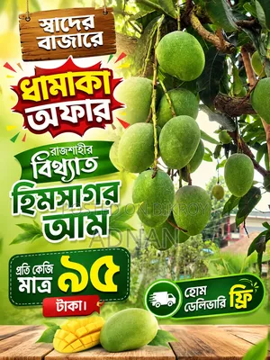 রাজশাহীর বিখ্যাত হিমসাগর আম