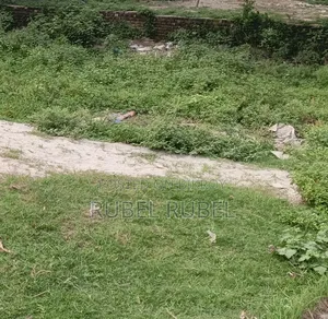 I want to sell the land, if anyone wants to buy, let me know