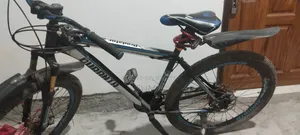 New Gear Cycle