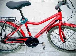 Running Cycle
