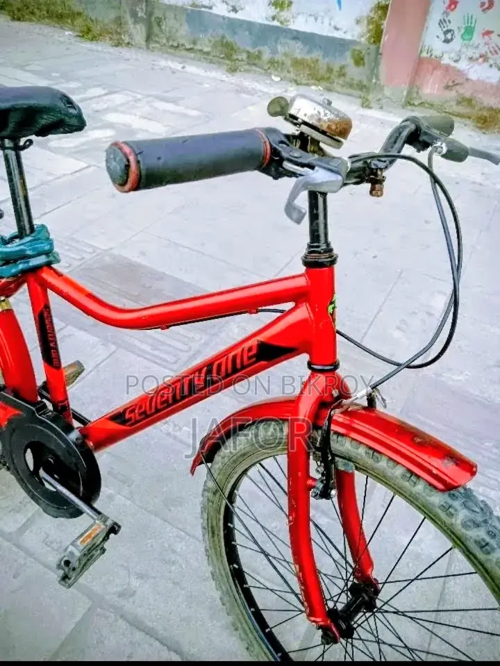 Running Cycle
