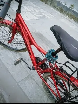 Running Cycle