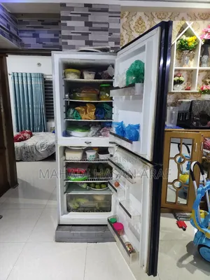 Singer Fridge