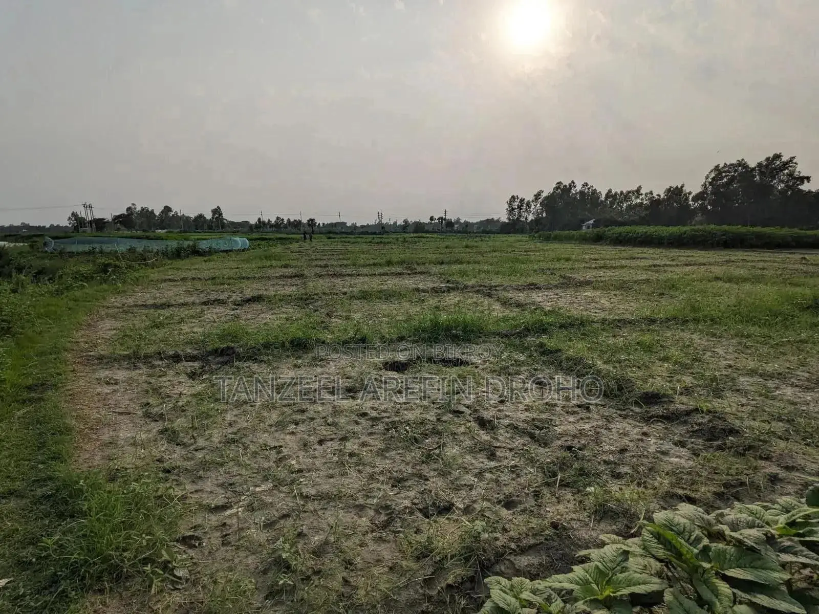 Sirajdikhan, Munshiganj; 322 decimal ancestral land for sale in 5 deeds!