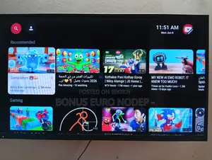 Television