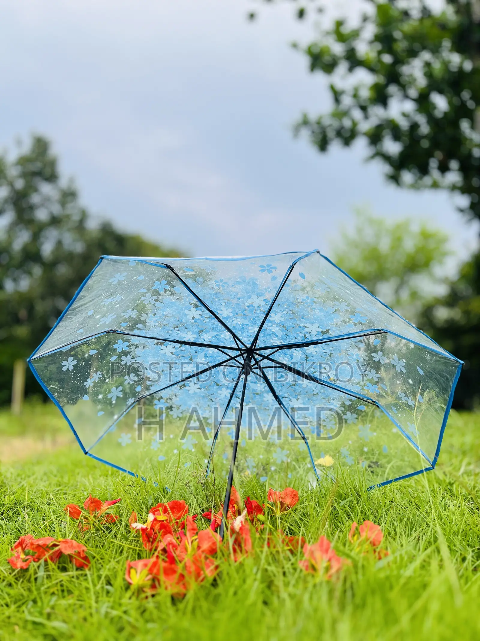 Tranfarent Umbrella