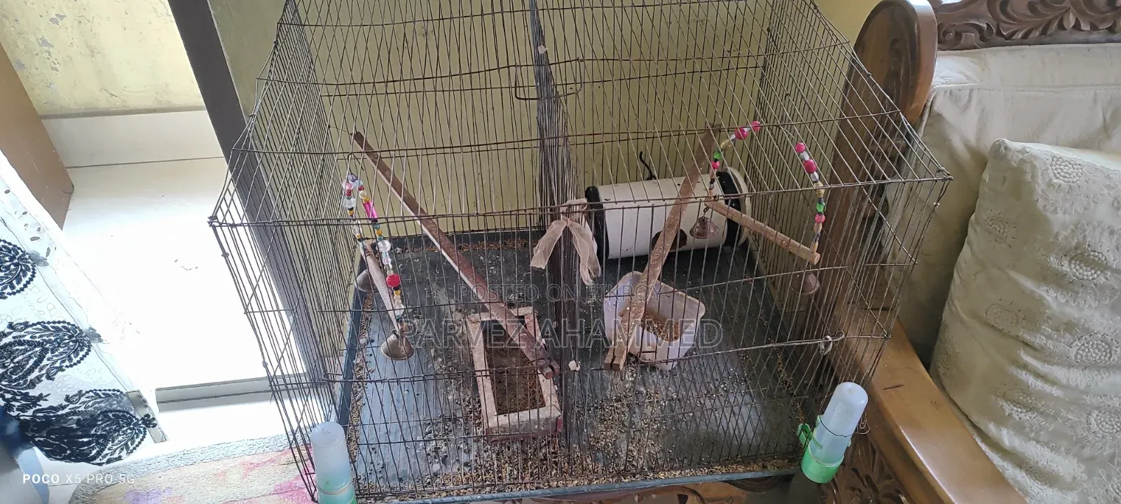 Bird Cage