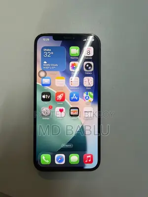 Apple iPhone 12 Pro Max 256 GB Blue