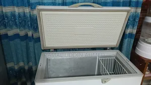 Singer 300 Liter Deep Fridge