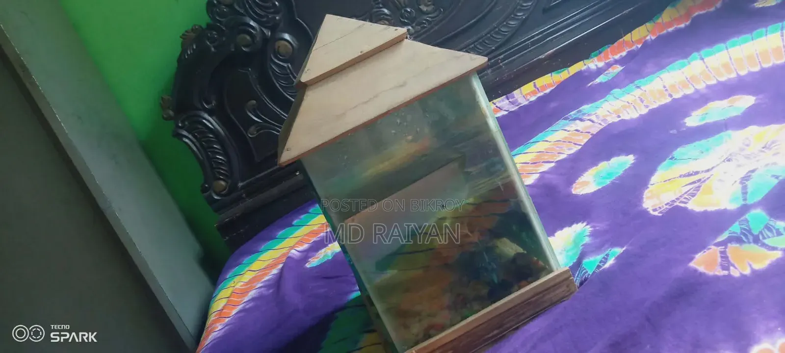 ফিস একুরিয়াম তিনটি মাছ সহ ও সামুদ্রিক শামুক ও অক্সিজেনসহ