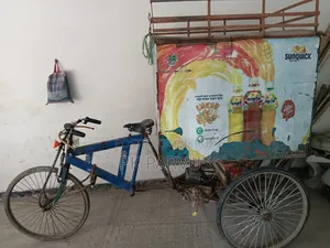Auto Delivery Cover Van