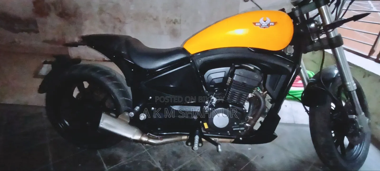 New Regal Raptor Pilder 250 2024 Yellow