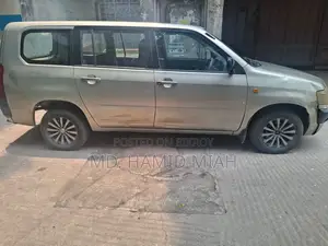 Toyota Probox 2005 Gold