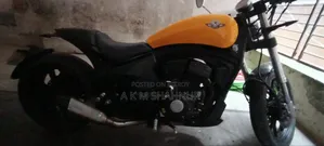 New Regal Raptor Pilder 250 2024 Yellow