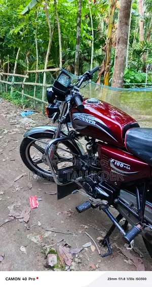 Runner F100 - 6A 2019 Red