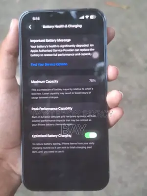 Apple iPhone 13 Pro Max 256 GB Blue