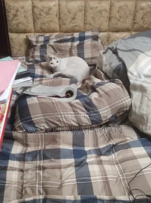 Wooden Bed
