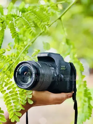 ক্যানন ৮০০ডি ক্যামেরা সেল হবে
