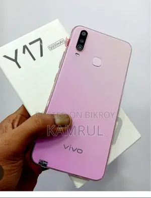 Vivo Y17 256 GB Pink