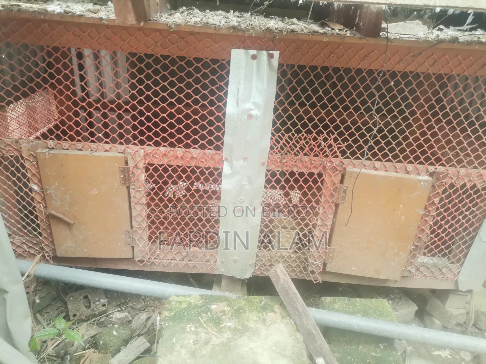 Very strong cage made of solid mahogany wood