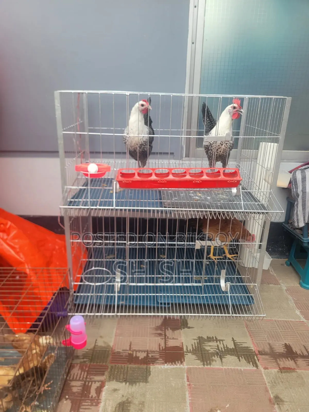 Cage 36 inches * 22 inches * 42 inches