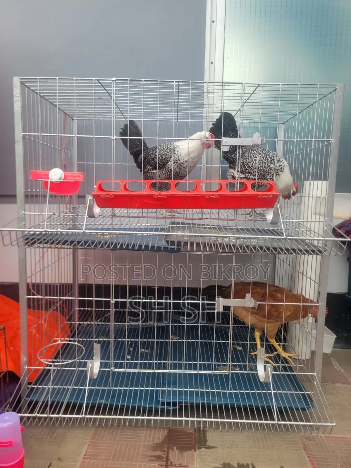 Cage 36 inches * 22 inches * 42 inches