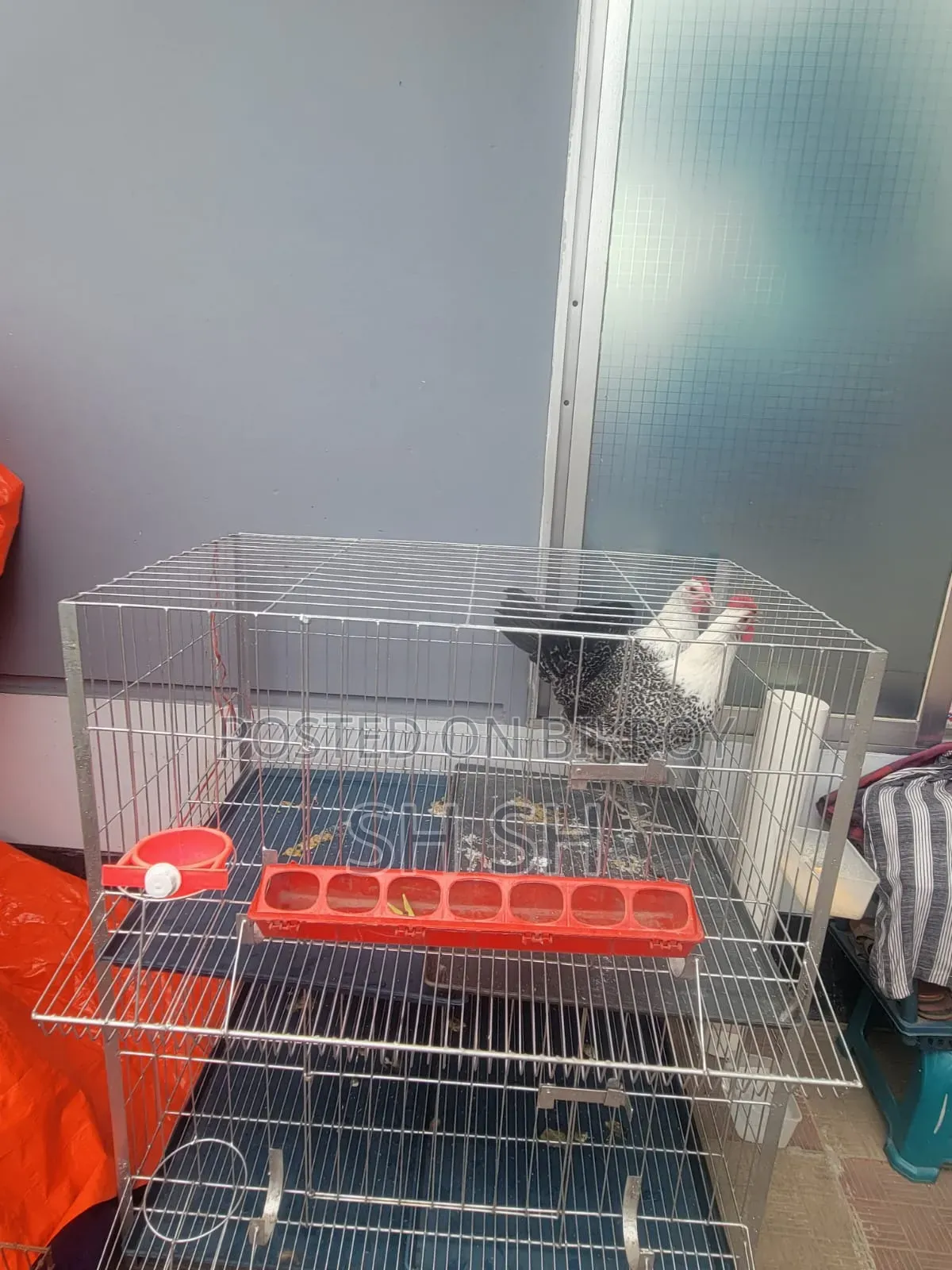 Cage 36 inches * 22 inches * 42 inches