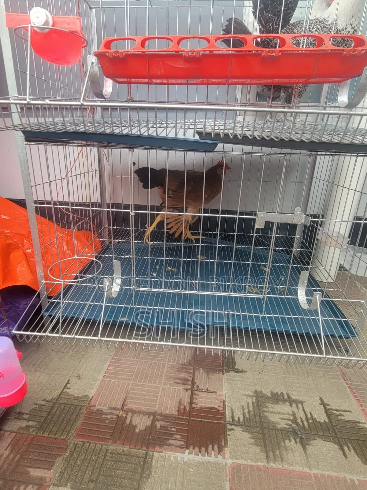 Cage 36 inches * 22 inches * 42 inches