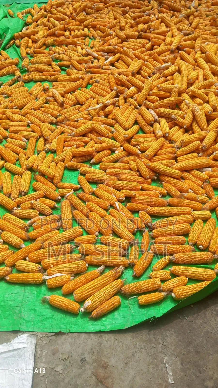 Fresh corn directly from the field—order from home.