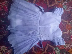 মেয়ে বাচ্চার প্রিন্সেস ড্রেস