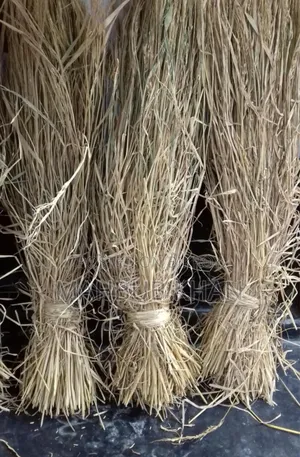 6000 pieces of Aman paddy straw