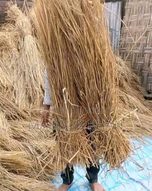 6000 pieces of Aman paddy straw