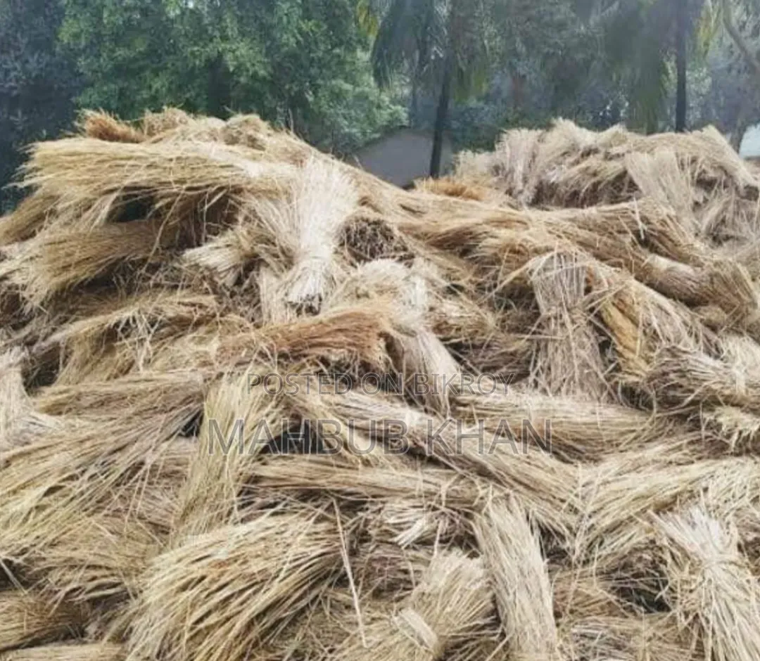 6000 pieces of Aman paddy straw