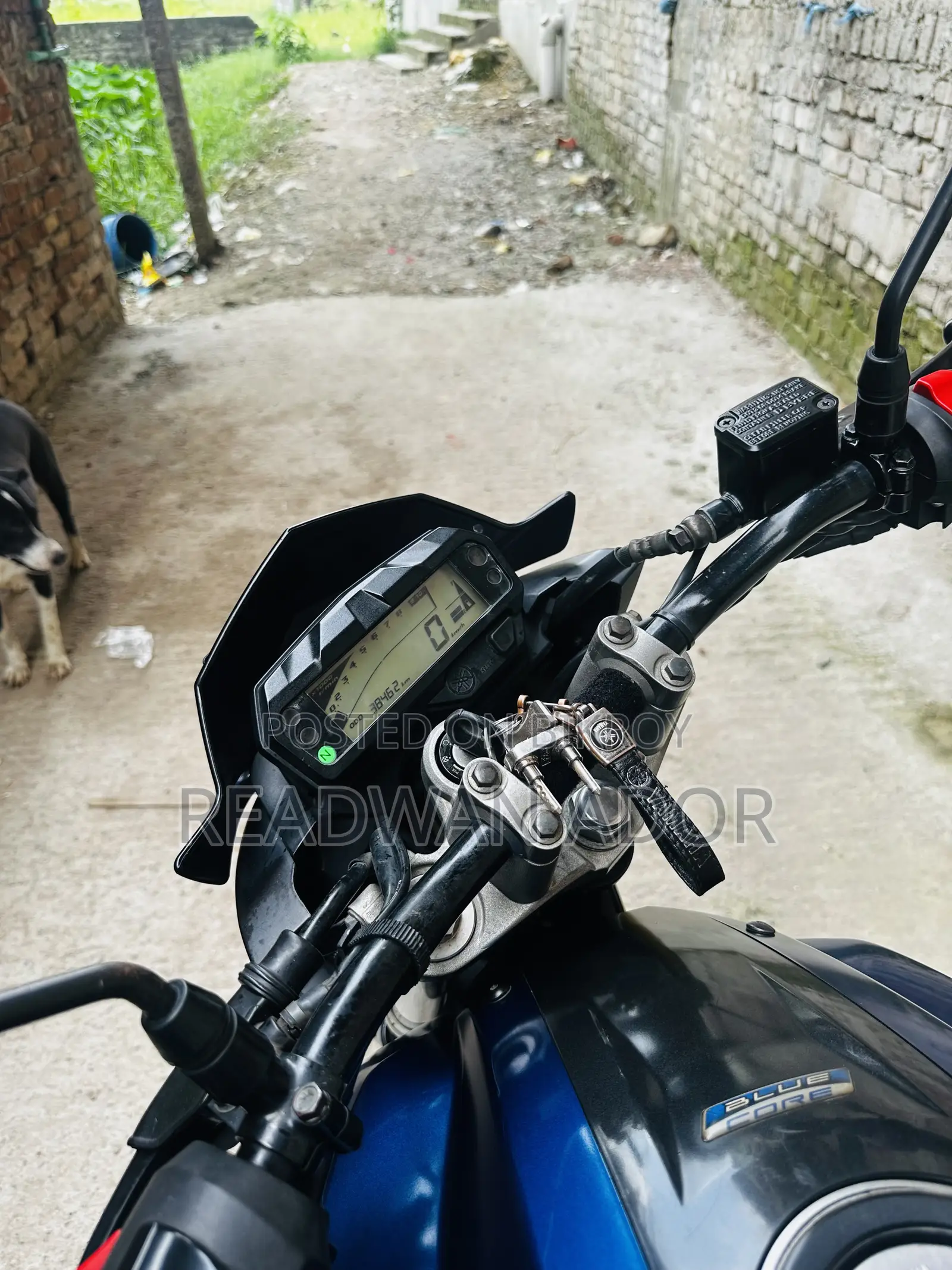Yamaha FZ 2019 Blue