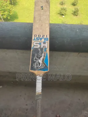 Hs Blast 1200 Cricket Bat