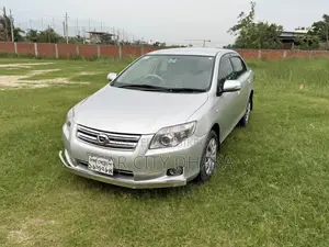 Toyota Axio 2010 Silver