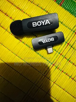 Microphone