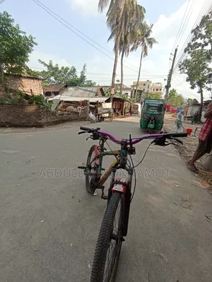 ফ্রেস সাইকেল