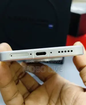 Vivo X200 Pro mini 256 GB White