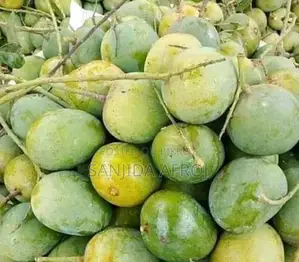 Rajshahi Himsagar Mango