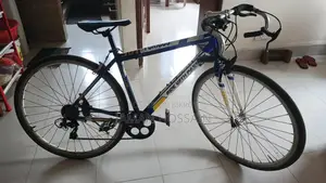 Racing Cycle