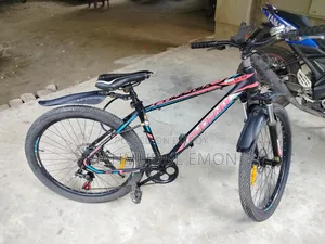 Phoenix Cycle