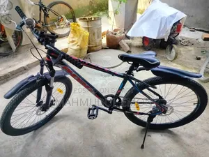 Phoenix Cycle