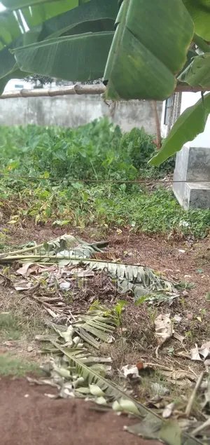 Land in Sonadangha