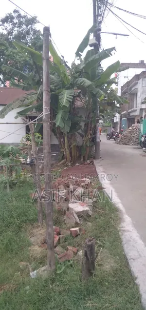 Land in Sonadangha