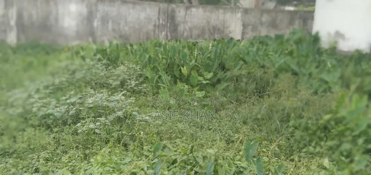 Land in Sonadangha