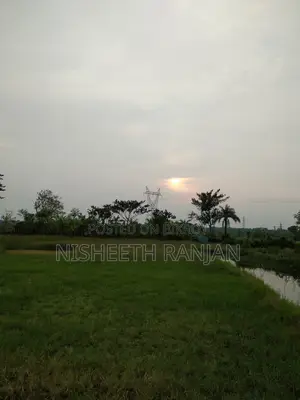 1 Bigha (52 decimals) agricultural land for sale