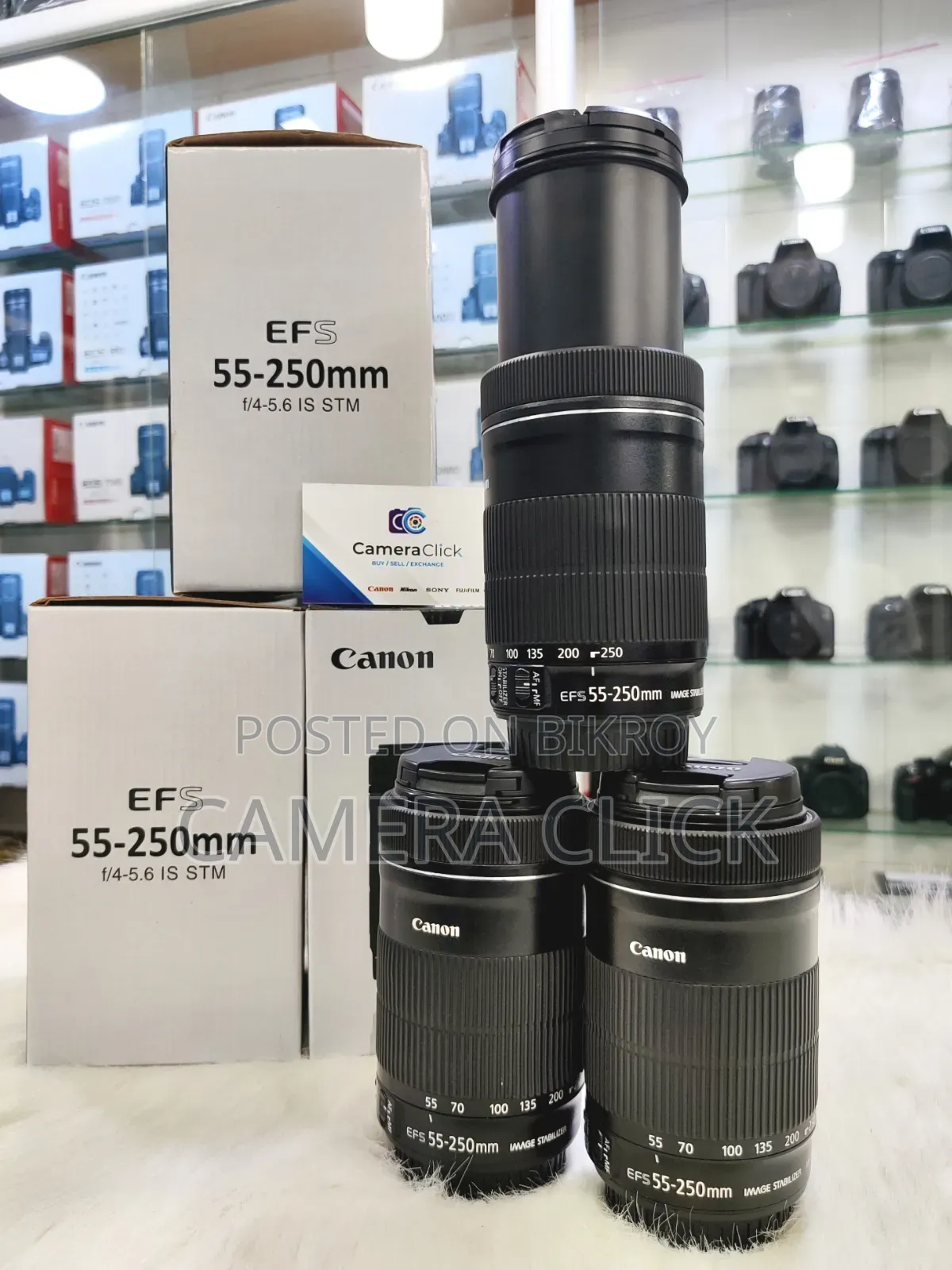 Canon 55-250mm STM Zoom Lens